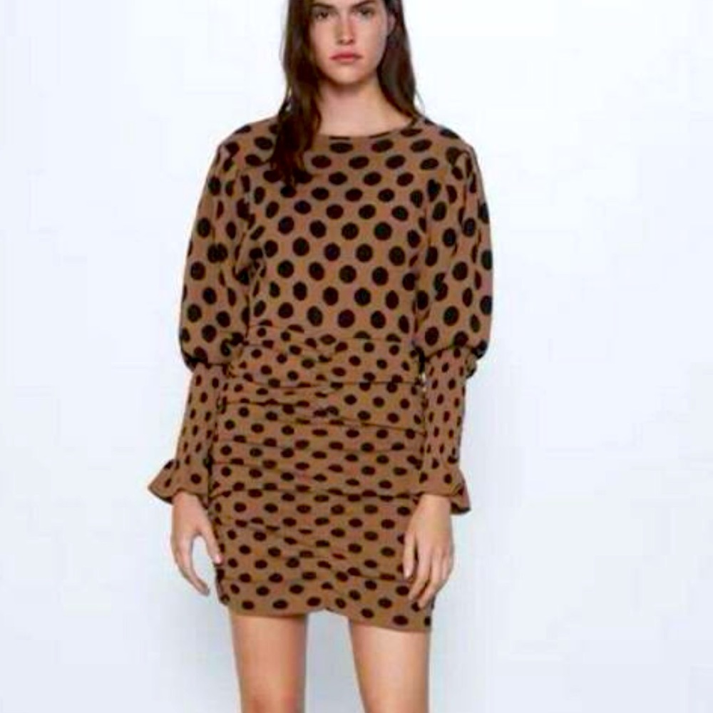 Zara Brown Polka Dot Dress